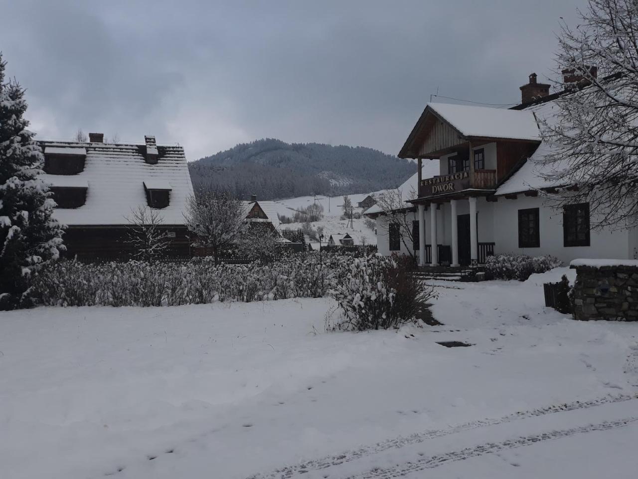 Polana Sosny Hotel Nedec Kültér fotó